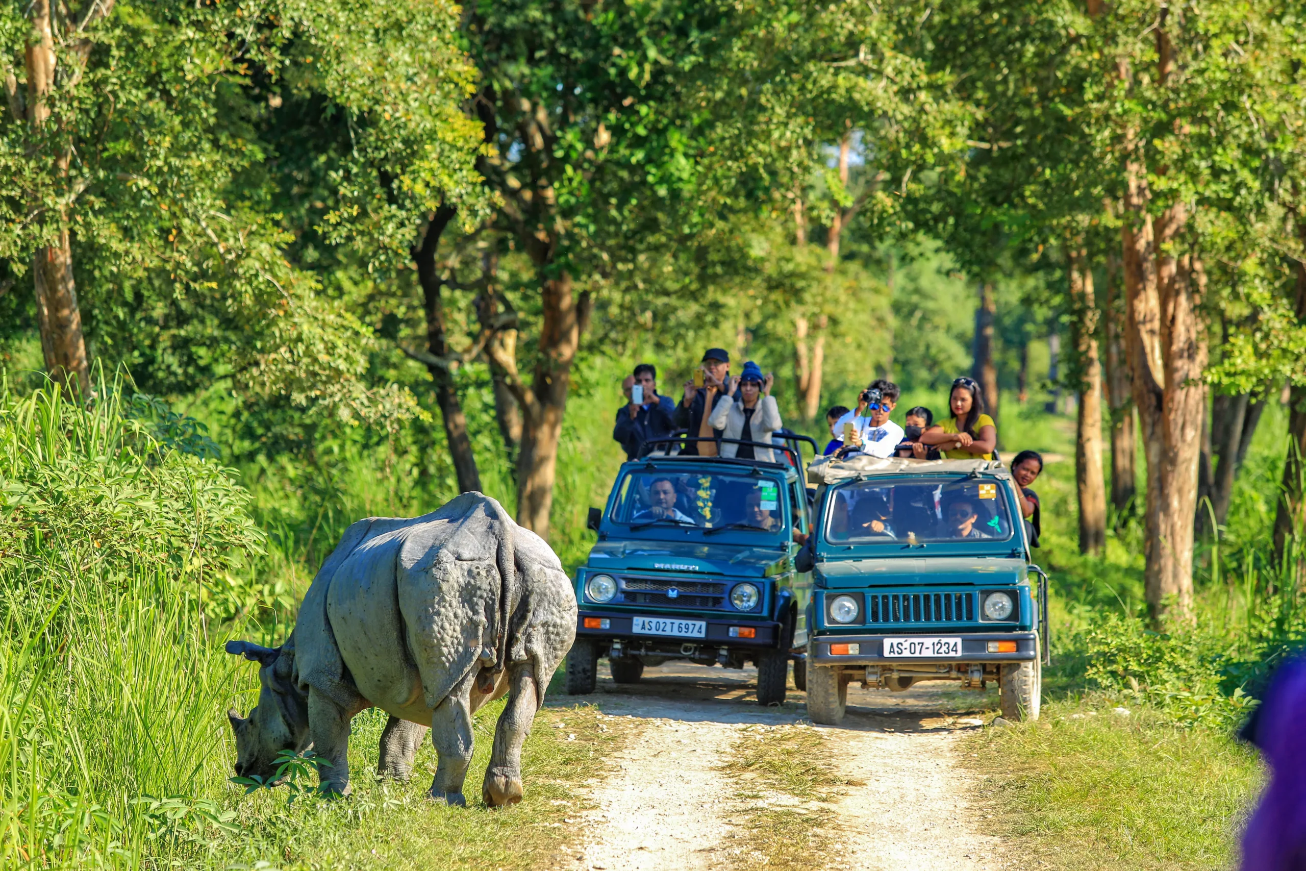 a group of people on a road with a rhinoceros